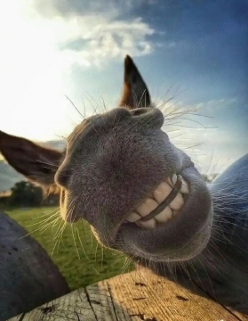 可爱女生头像图片