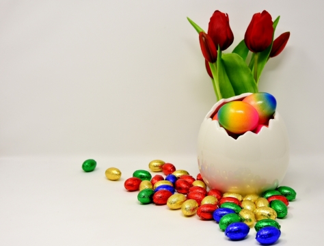 室内白色背景巧克力彩蛋红色花朵装饰