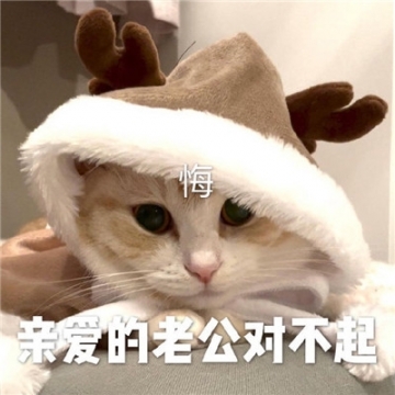 哄男朋友幽默搞笑表情包图片