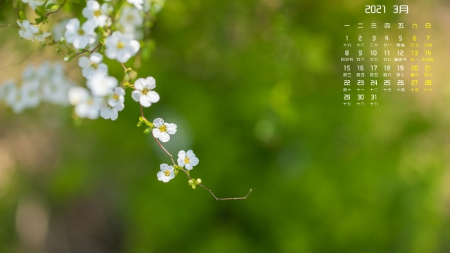 2021年3月清晰绿色护眼高清日历壁纸