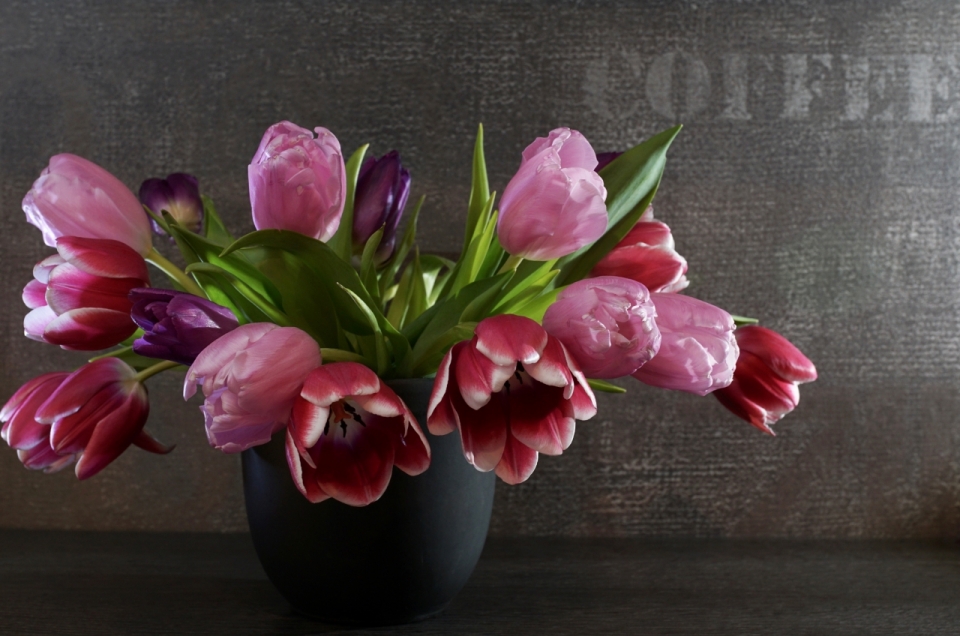 室内墙壁前桌面花瓶中紫色郁金香花朵植物