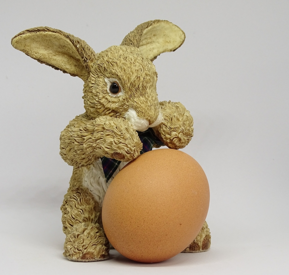 灰色背景可爱兔子模型新鲜鸡蛋食物