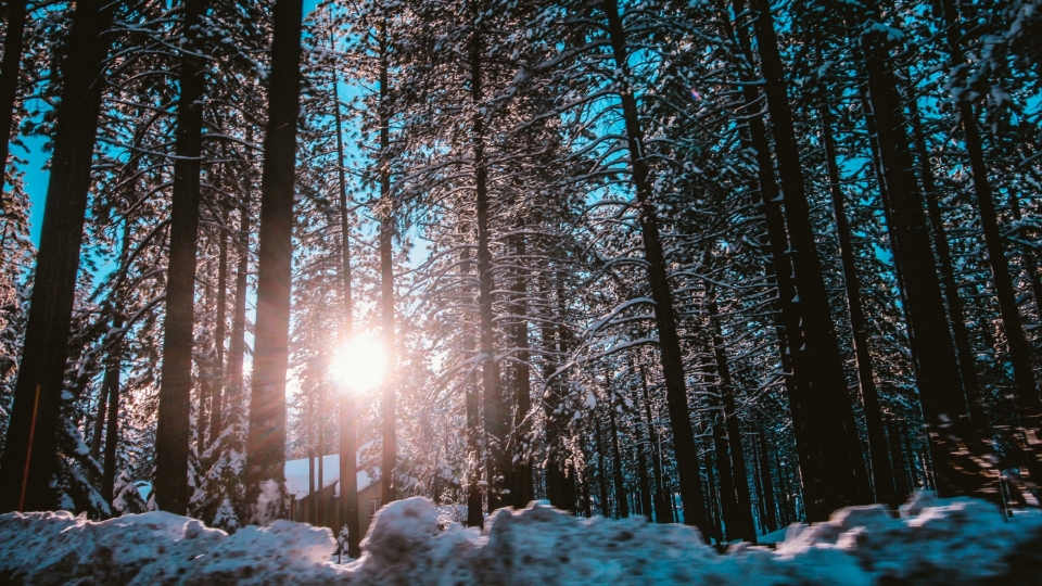 唯美冬季雪景自然风光高清桌面壁纸