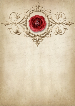 复古优雅低调红玫瑰怀旧手机壁纸简单干净