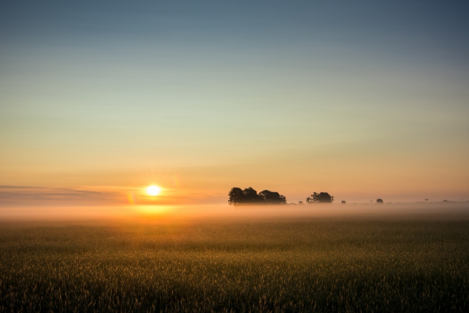 日出时泛着雾气的广袤草原