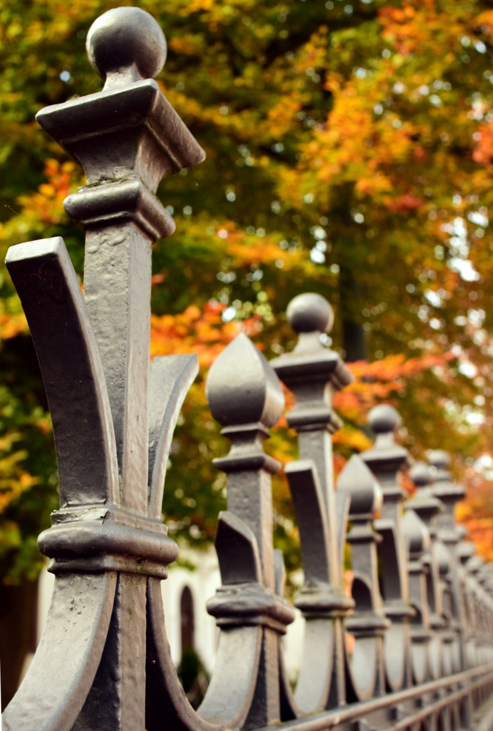 秋季枫叶街道的灰色金属栏杆特写
