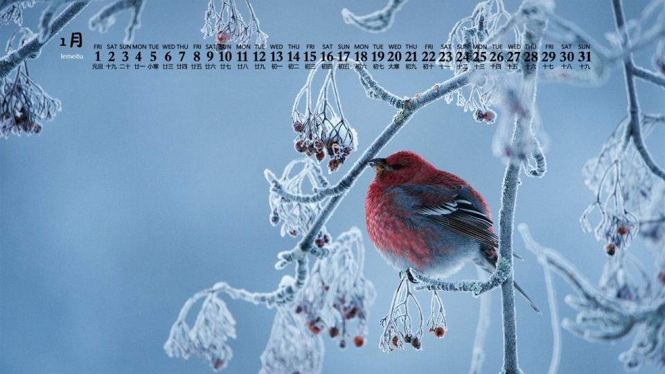 2021年1月冬季唯美自然风景日历壁纸