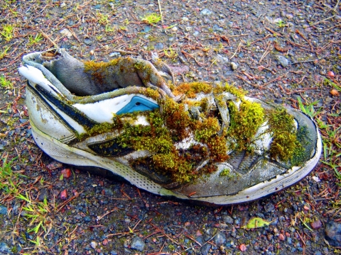 一只长满青苔的破球鞋在石子地上的摄影