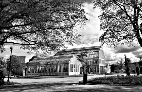 欧洲小镇欧洲建筑风光树木和马路黑白照