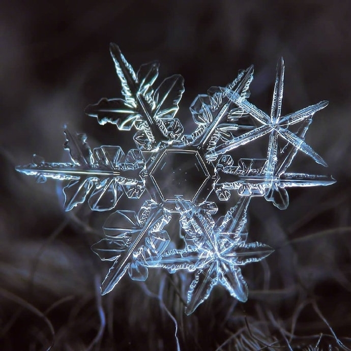 微镜头下的雪花图片