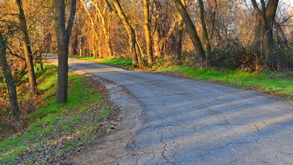 自驾游出行欣赏公路两边风景高清壁纸