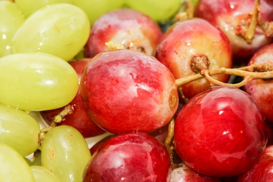 新鲜绿色提子紫色葡萄美味健康水果