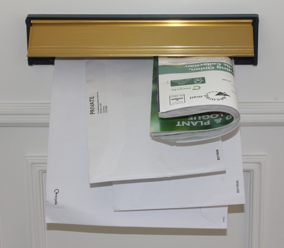 几页白纸和一本绿色封面书本夹在一个出口里