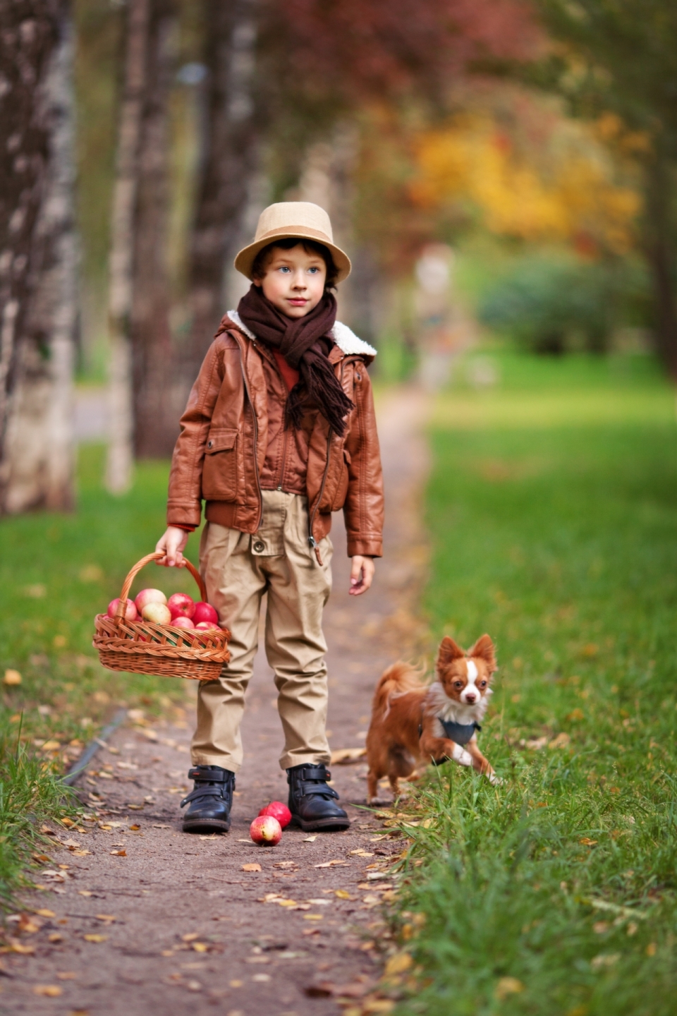 背景虚化树林草地小道上的男孩和宠物狗