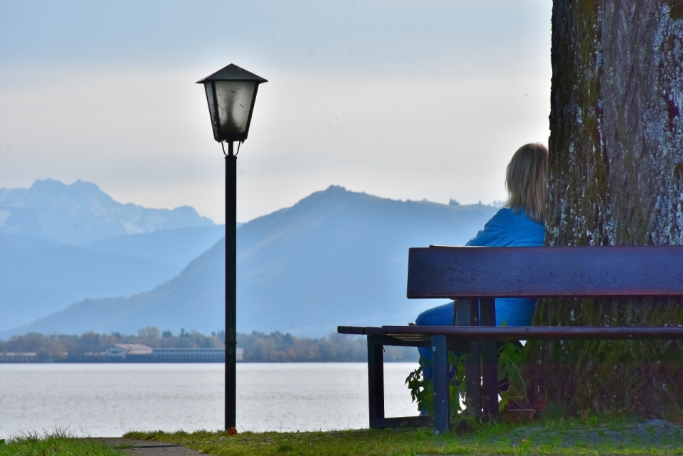 高山湖泊边大树座椅上的女人背影摄影
