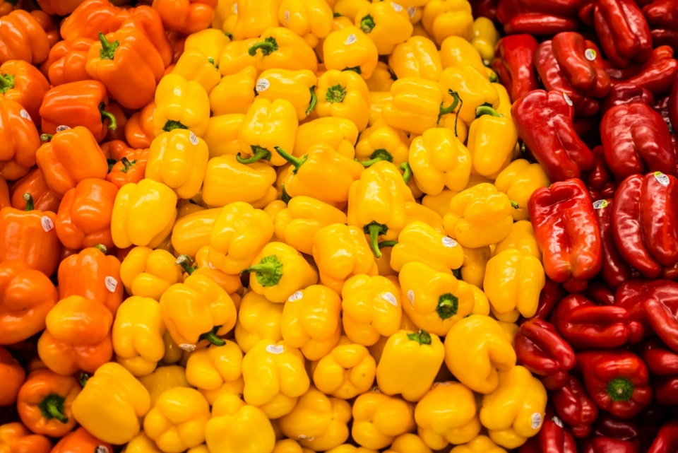 新鲜健康红色黄色橙色菜椒