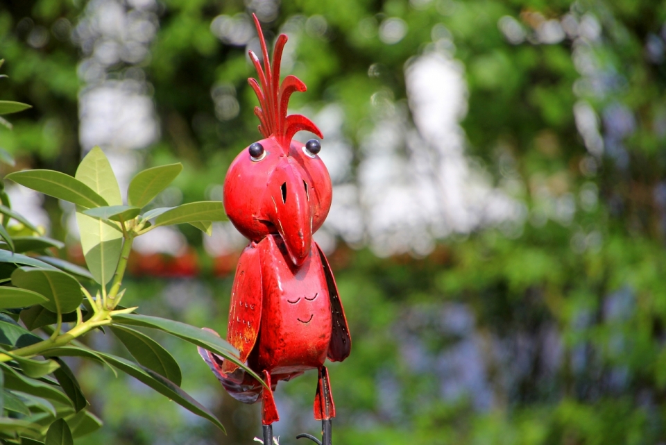 绿色植物边红色玩具鸟工艺品摄影