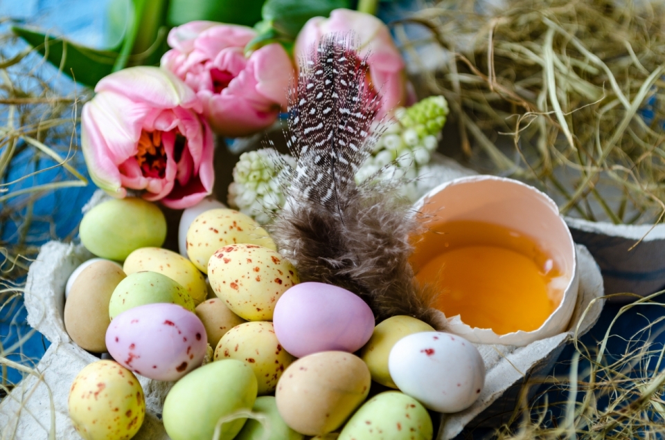 桌面复活节彩蛋自然郁金香植物鸡蛋