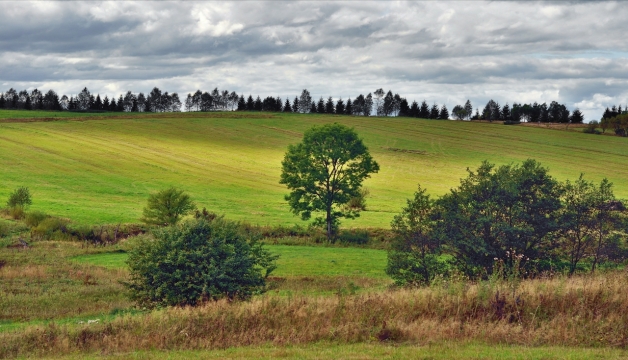 厚重白云下广阔草地森林风光