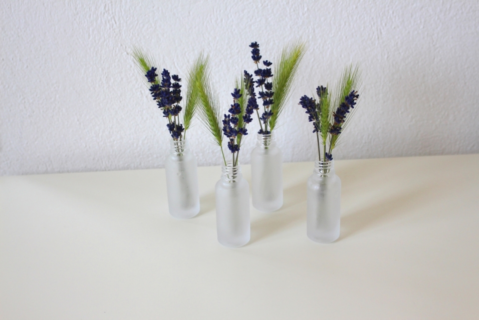 室内白色桌面玻璃瓶子自然花朵植物