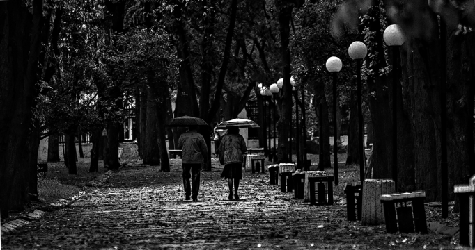 黑白风格街边散步路灯树木风光