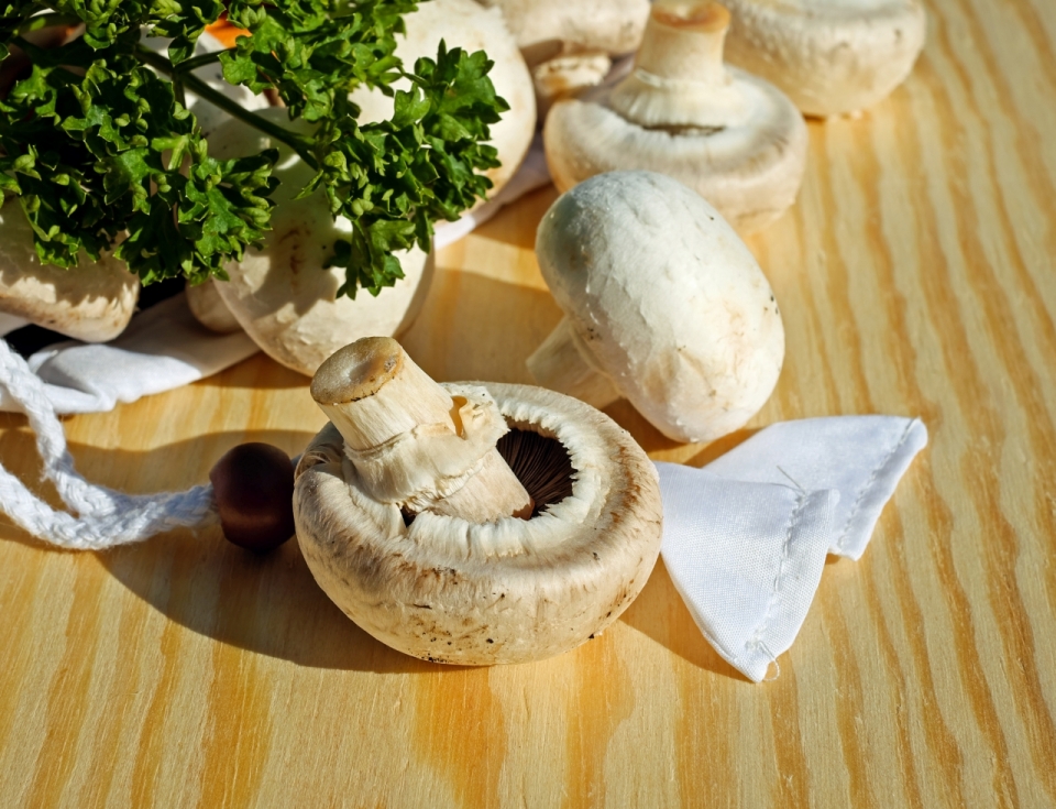 木制桌面新鲜蔬菜白色蘑菇香芹