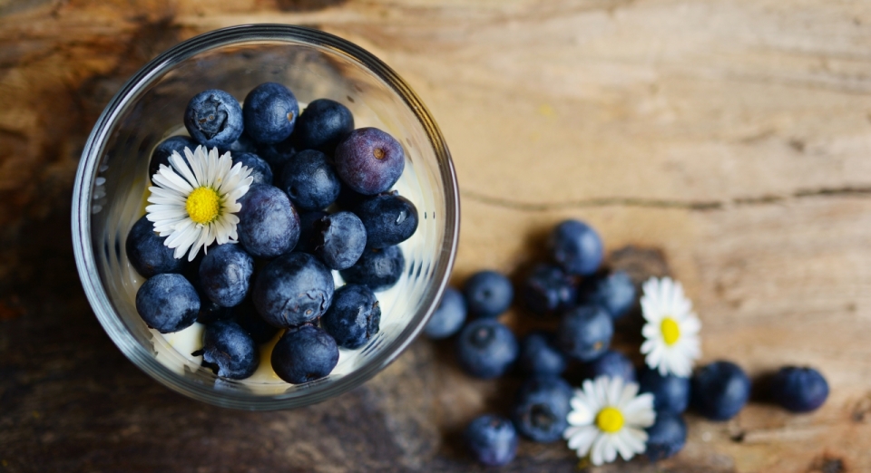 桌子上玻璃碗中蓝莓和白色小花水果摄影