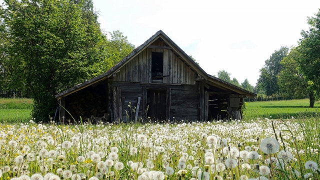 大山里的木房屋高清桌面壁纸