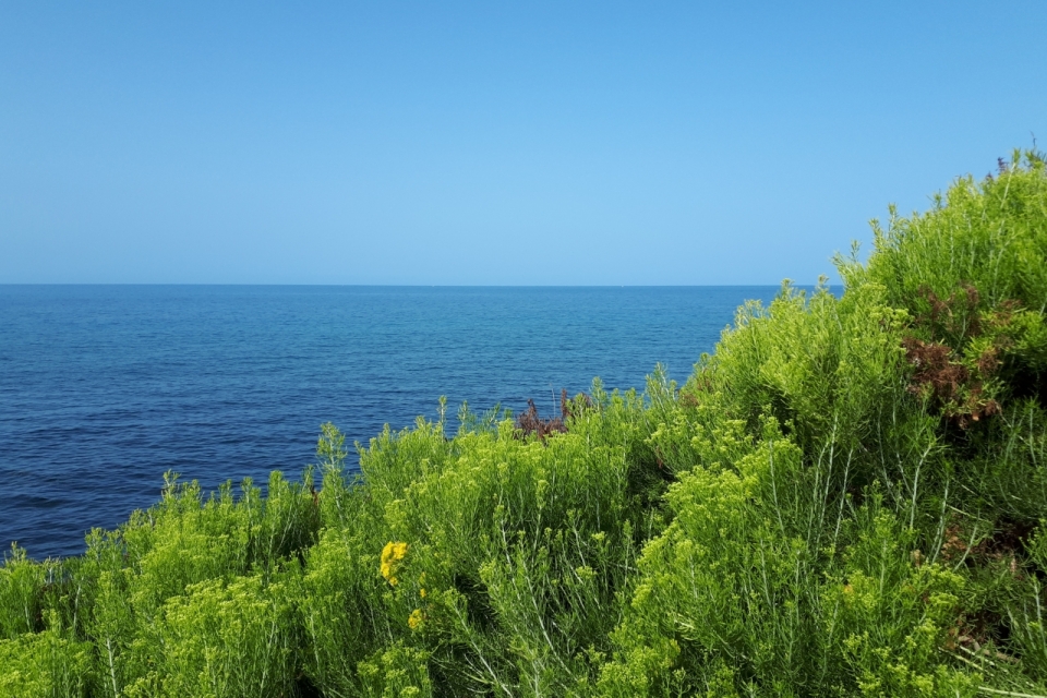 蓝色天空自然湖泊绿色树木植物