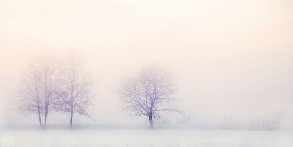 唯美冬日雾色风景摄影