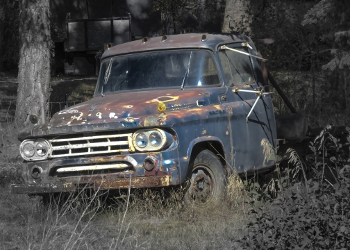 户外自然森林废弃蓝色轿车