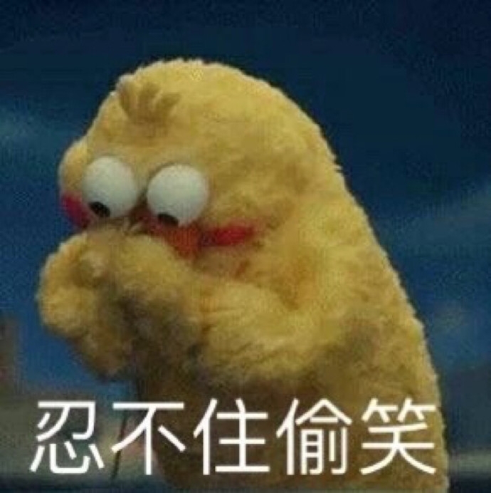 幽默搞笑鹦鹉兄弟表情包