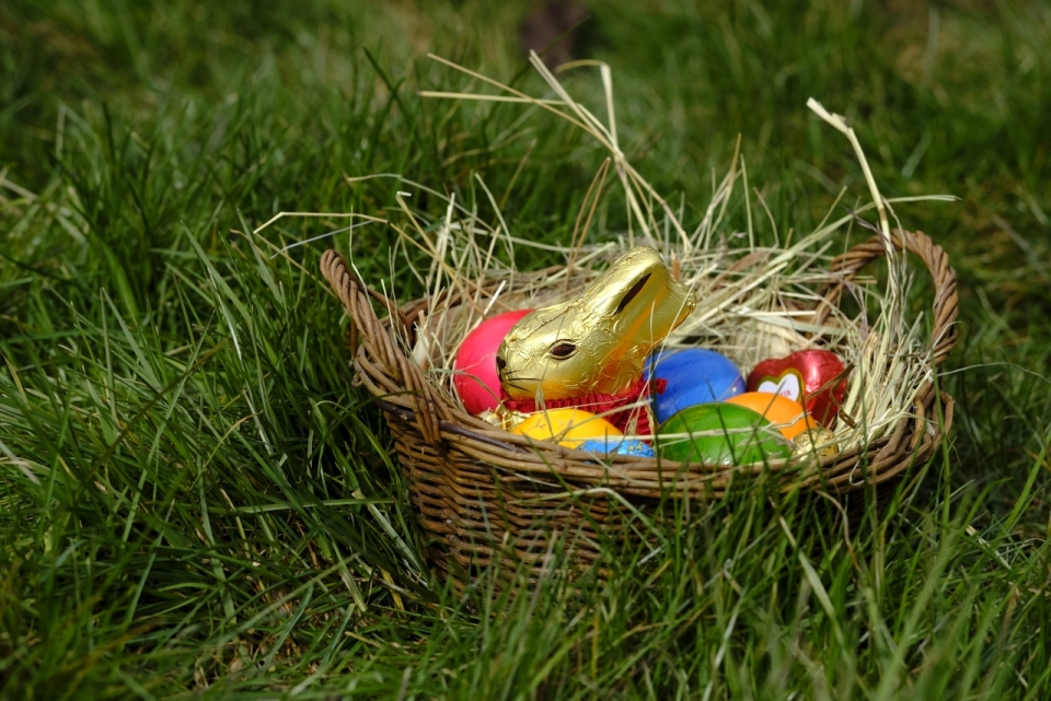 自然绿色草坪篮子中彩色兔子彩蛋装饰