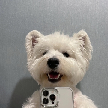 小狗自拍写真图片