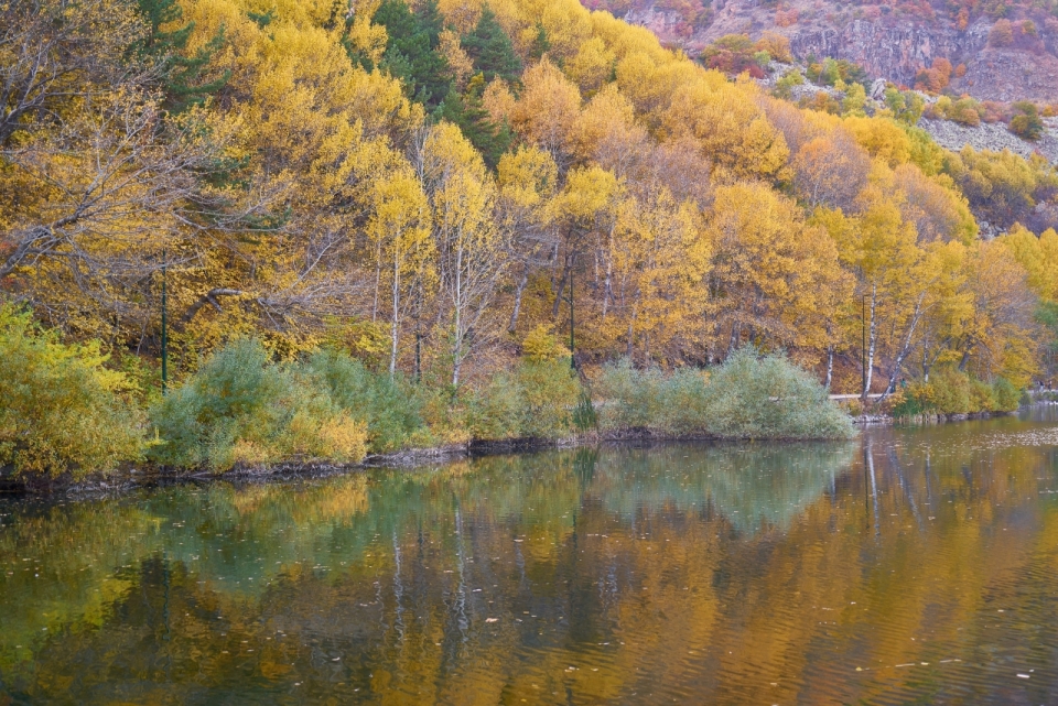 秋天黄色树叶山林倒映在水面上