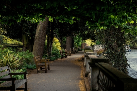 城市街道湖泊边自然树木长椅