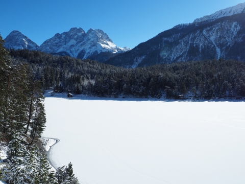 冬日山坡下白雪皑皑风光特写