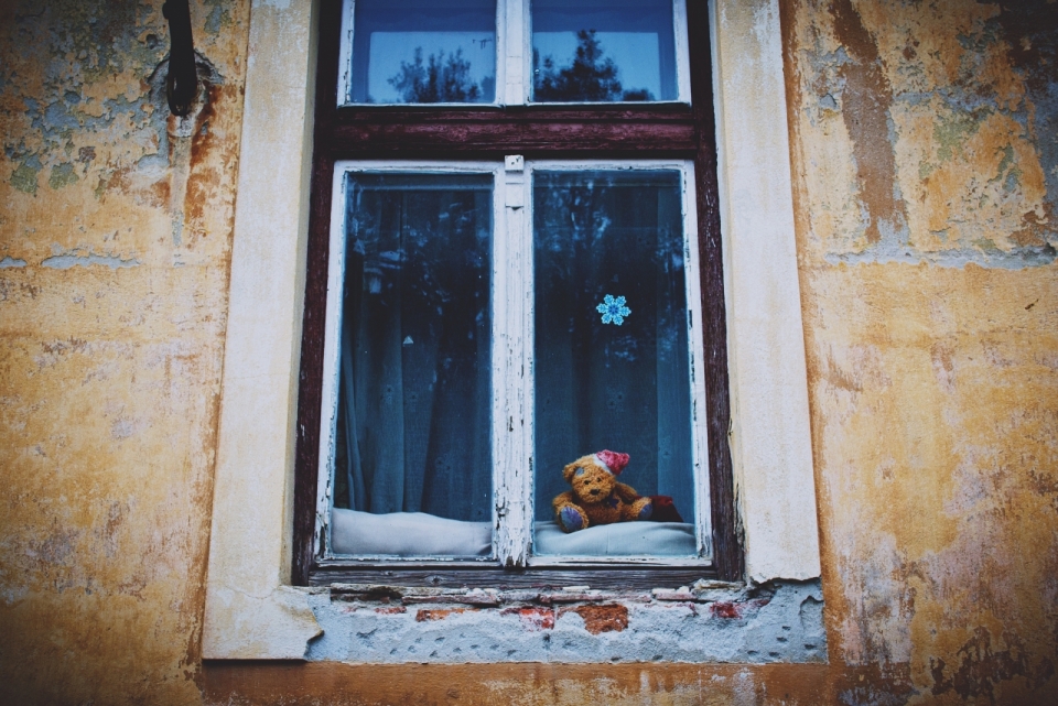 破旧建筑木质边框窗户前熊玩偶