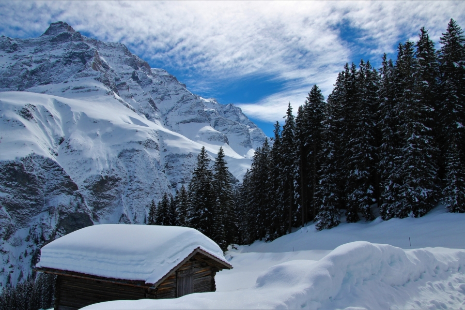 自然雪山树林包围低矮木屋积雪风景