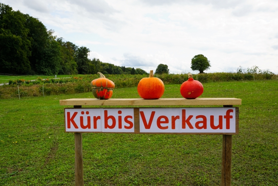 德国农场标示着南瓜拍卖的木制标牌