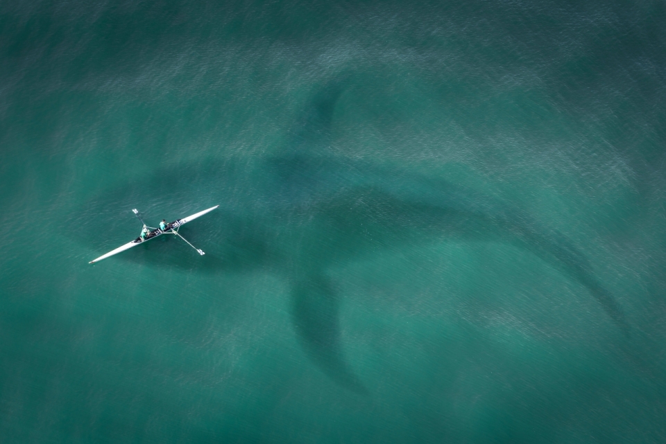 划桨船下的鲸鱼身影航拍摄影