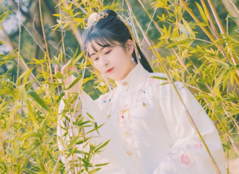 古风倾国佳人艺术图片