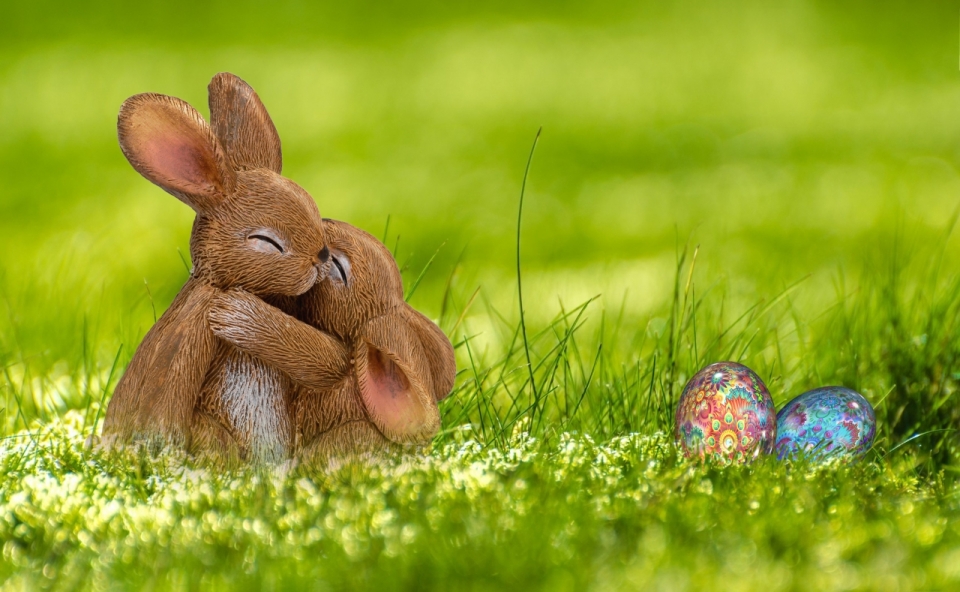 自然绿色草坪间兔子布偶复活节彩蛋