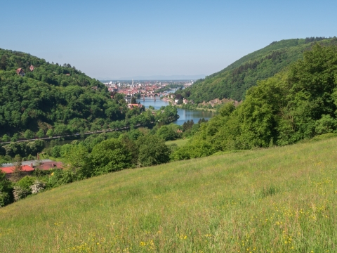 阳光蓝色天空绿色山坡前城市街道