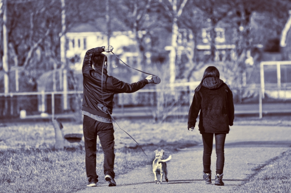 黑白城市街道遛狗散步男性女性