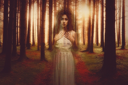 黄昏自然树林间虚化女性身影