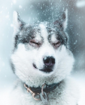 唯美高清摄影图片写真