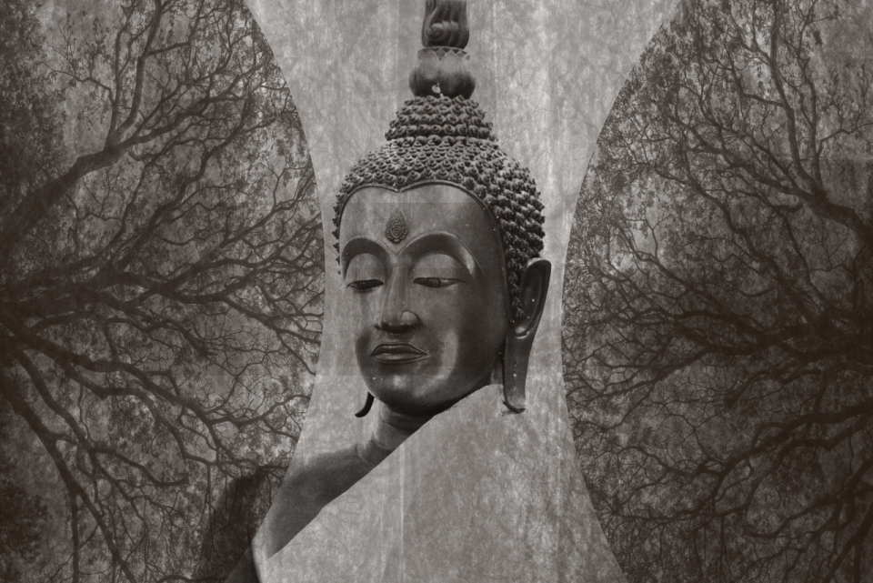 黑白风格林中巨大佛像石雕