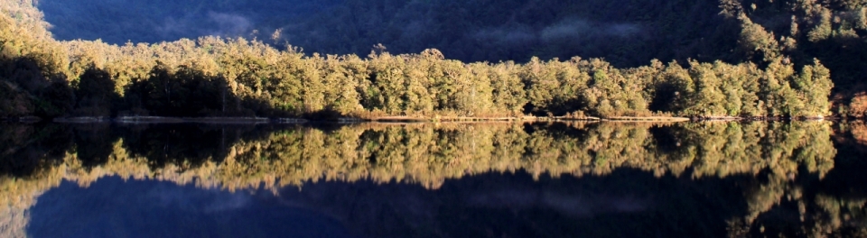 湖边树林水面倒影镜像摄影