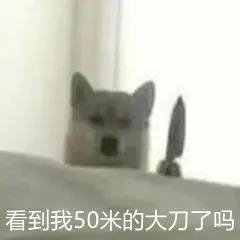 搞笑表情包图片